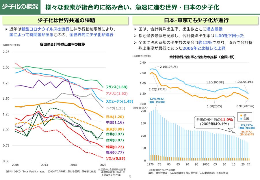 少子化対策の推進に向けた論点整理 2024