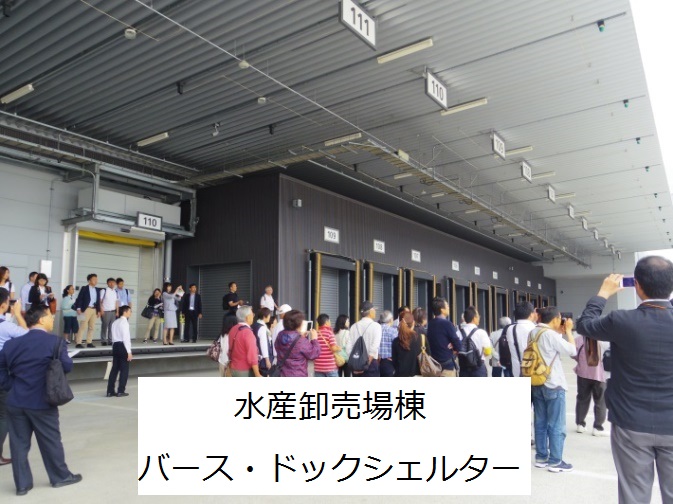 水産卸売場棟バース・ドックシェルター