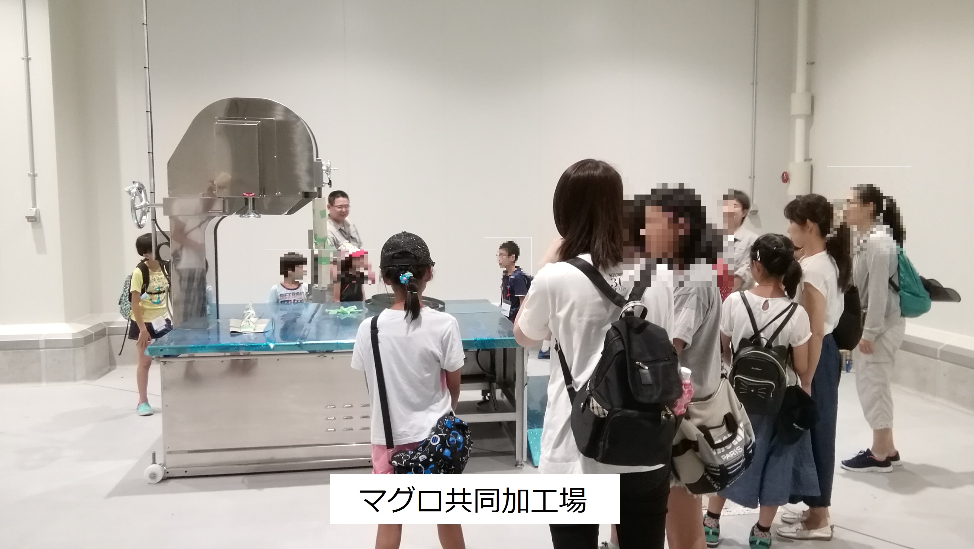 マグロ共同加工場