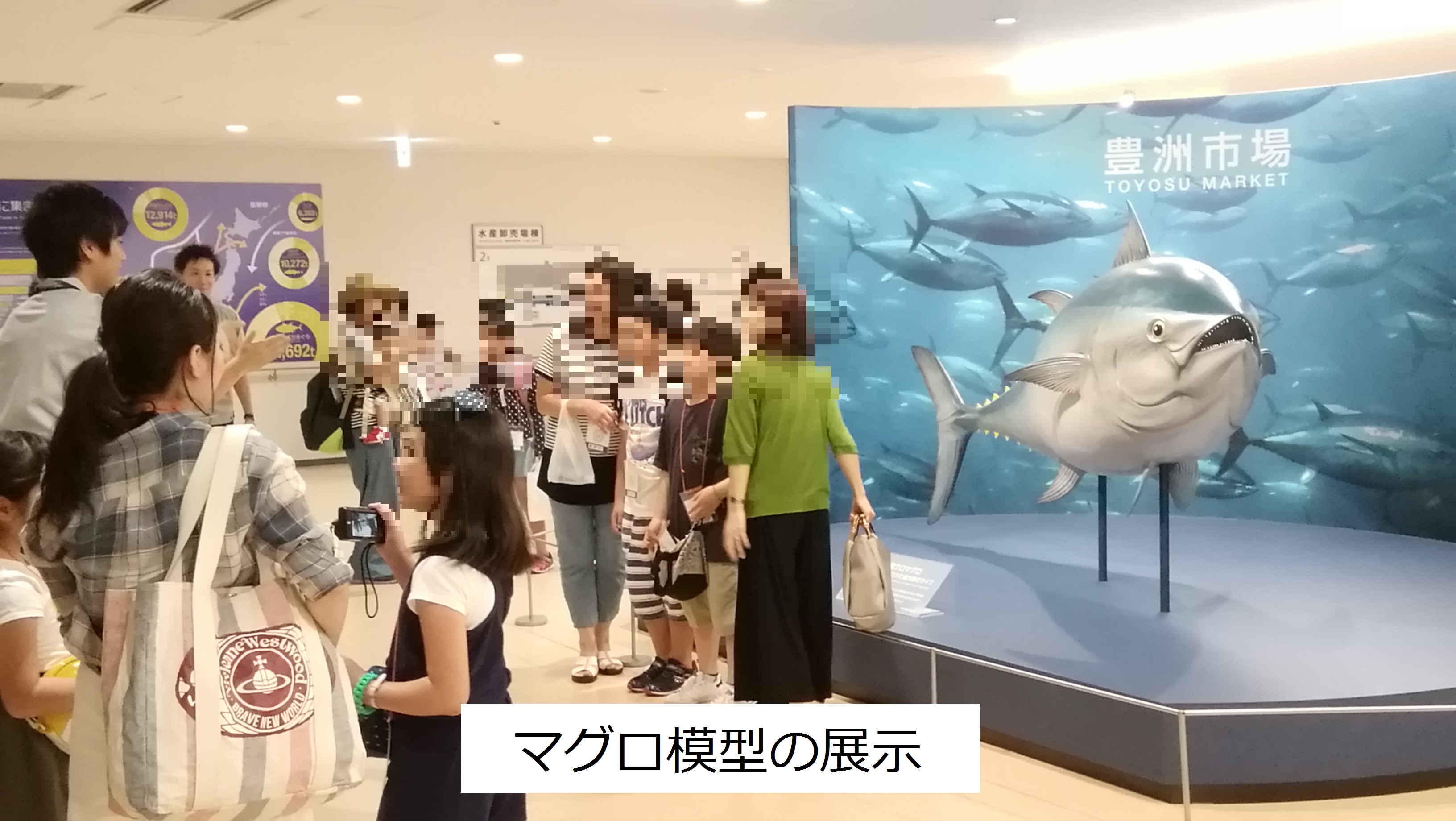 豊洲市場ＰＲコーナー