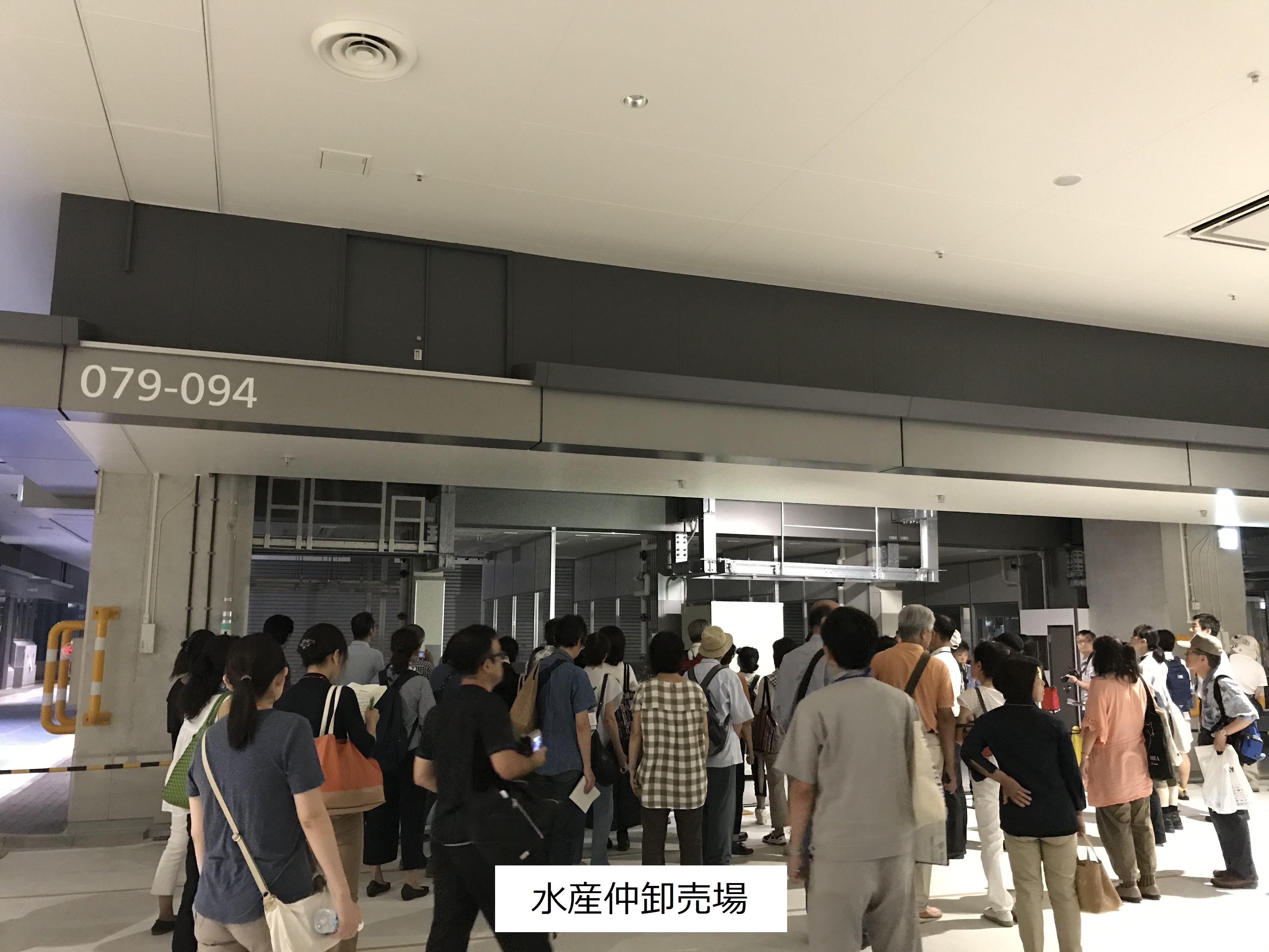 水産仲卸売場