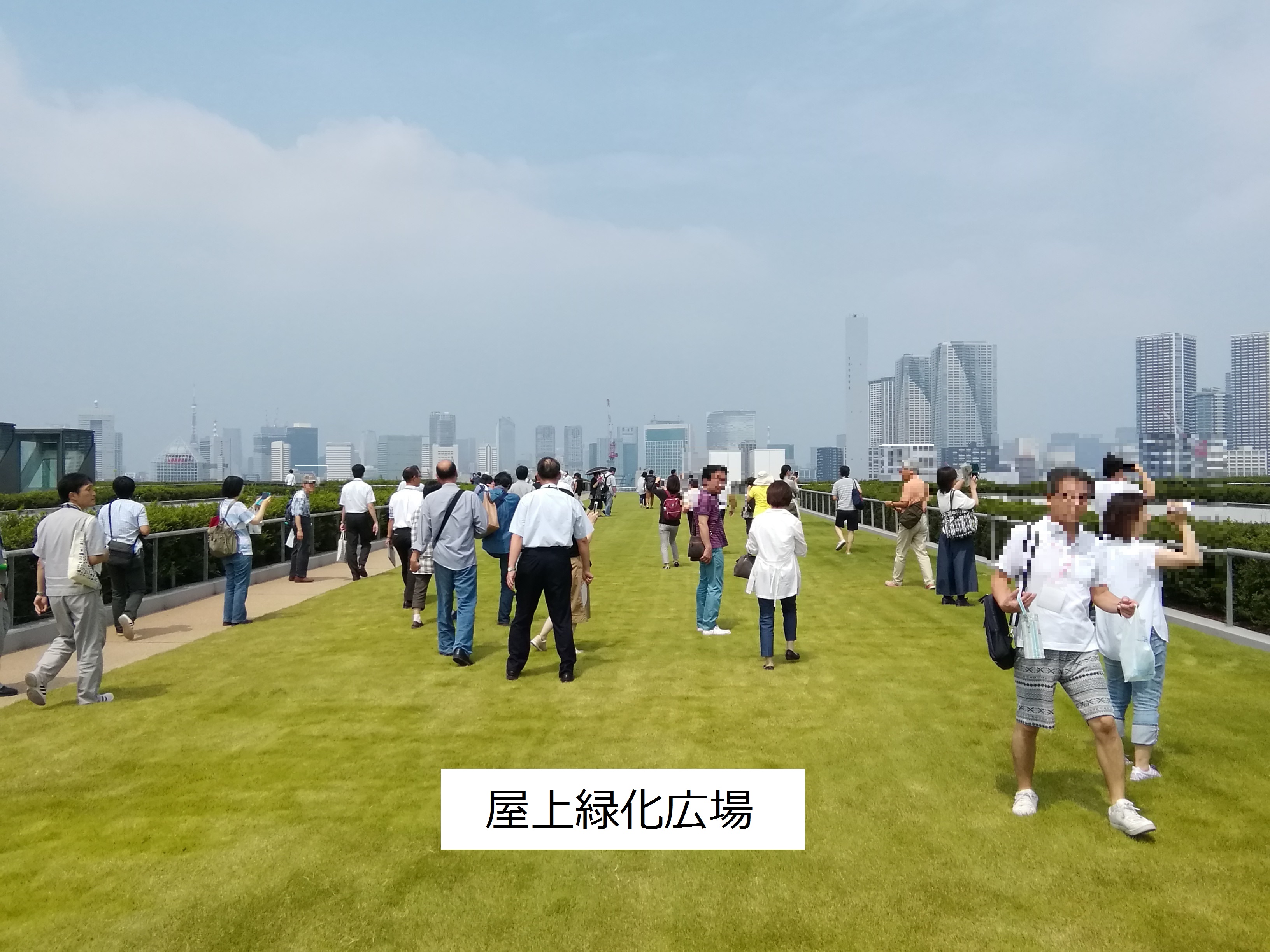 屋上緑化広場