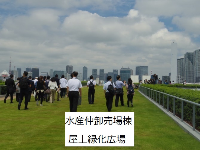 水産仲卸売場棟屋上緑化広場