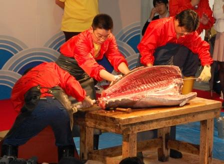 マグロ解体