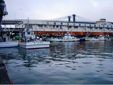 早朝の小田原港と小田原魚市場