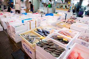 仲卸売場に並べられた水産物
