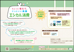 チラシの画像