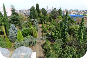 研究成果の写真2