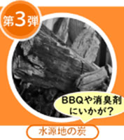 プレゼントの写真3