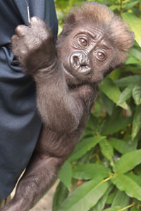 別紙 恩賜上野動物園|東京都 別紙 恩賜上野動物園|東京都