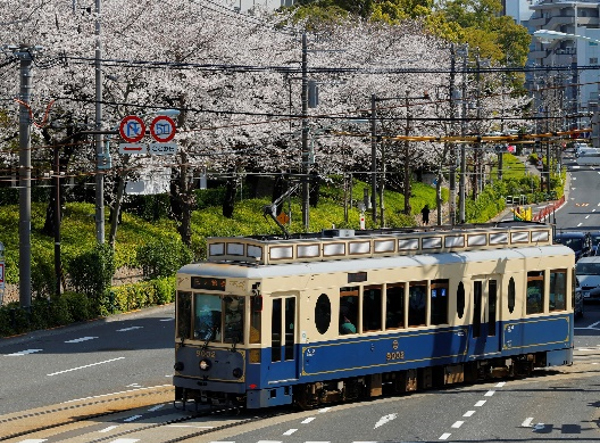 東京さくらトラム さくらサク号で受験生応援｜東京都