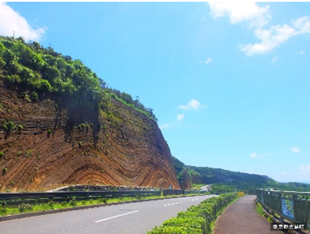 写真2