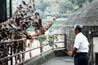 写真：多摩動物公園を視察