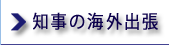 知事の海外出張